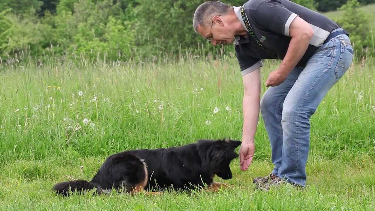 Training Tips CZ - Část 13 Dej pac