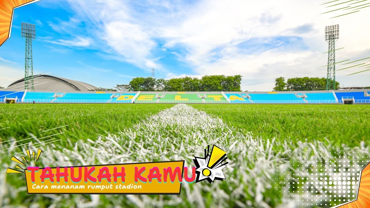TAHUKAH KAMU ? Begini Cara Penanaman Rumput Stadion Gelora Delta!
