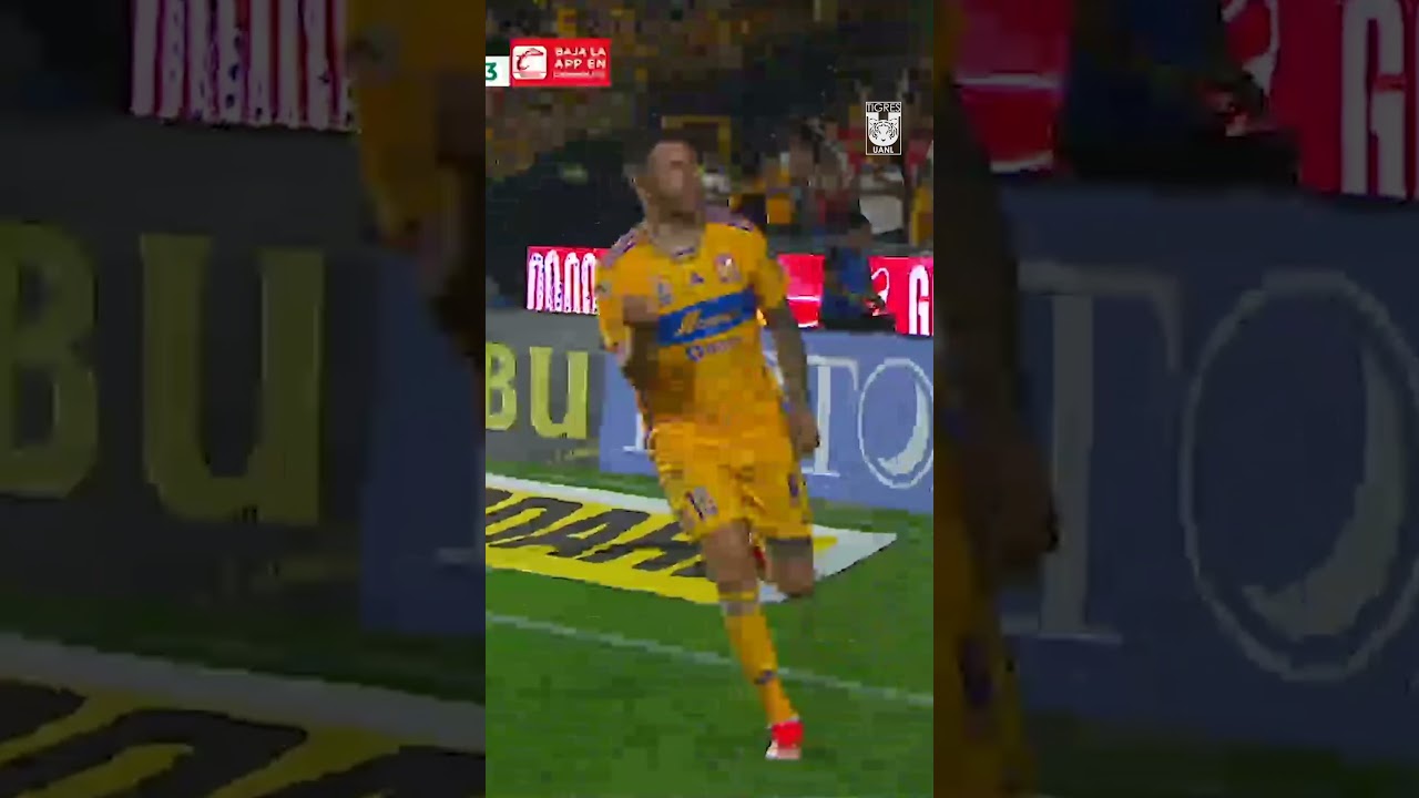 &iexcl;El pedazo de gol de Andr&eacute;-Pierre Gignac!