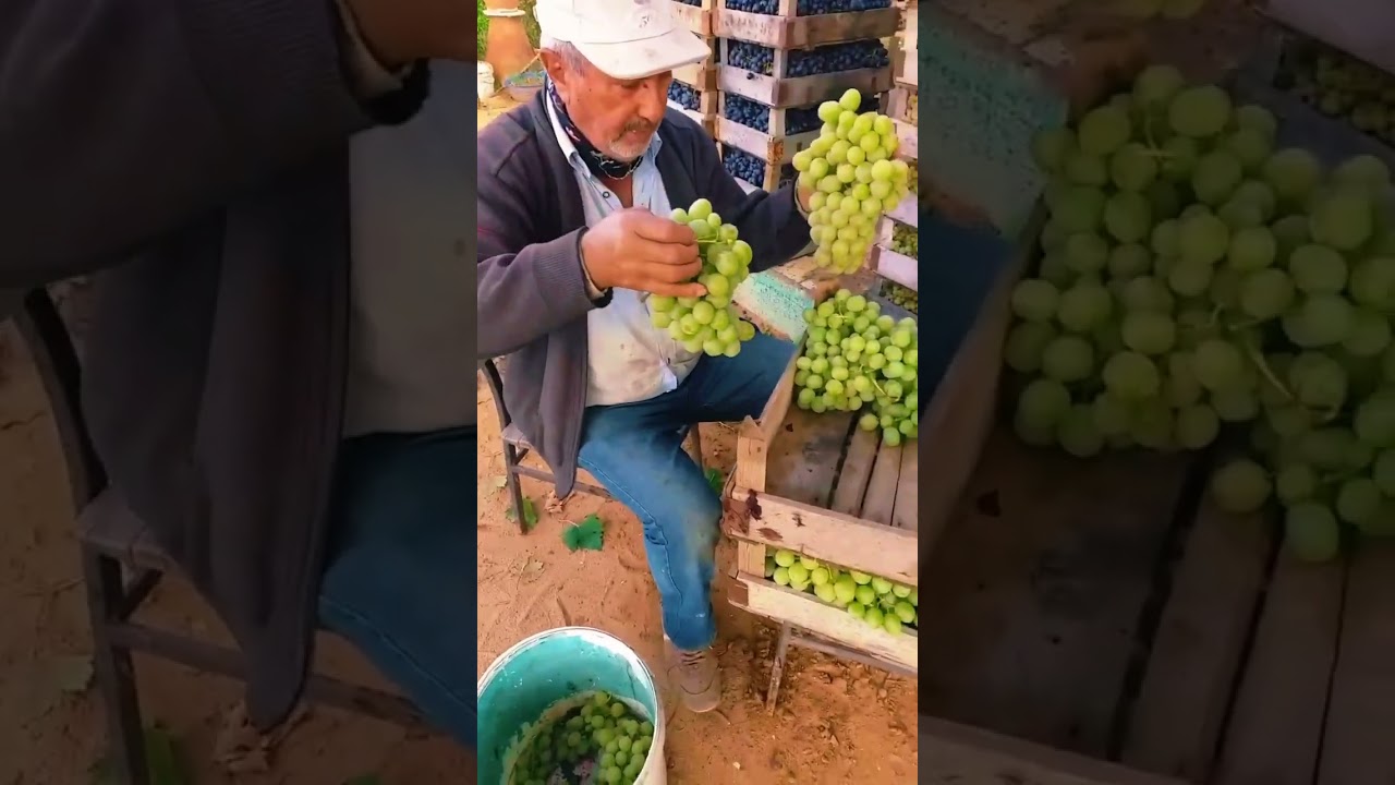 DANACI KÖYÜ