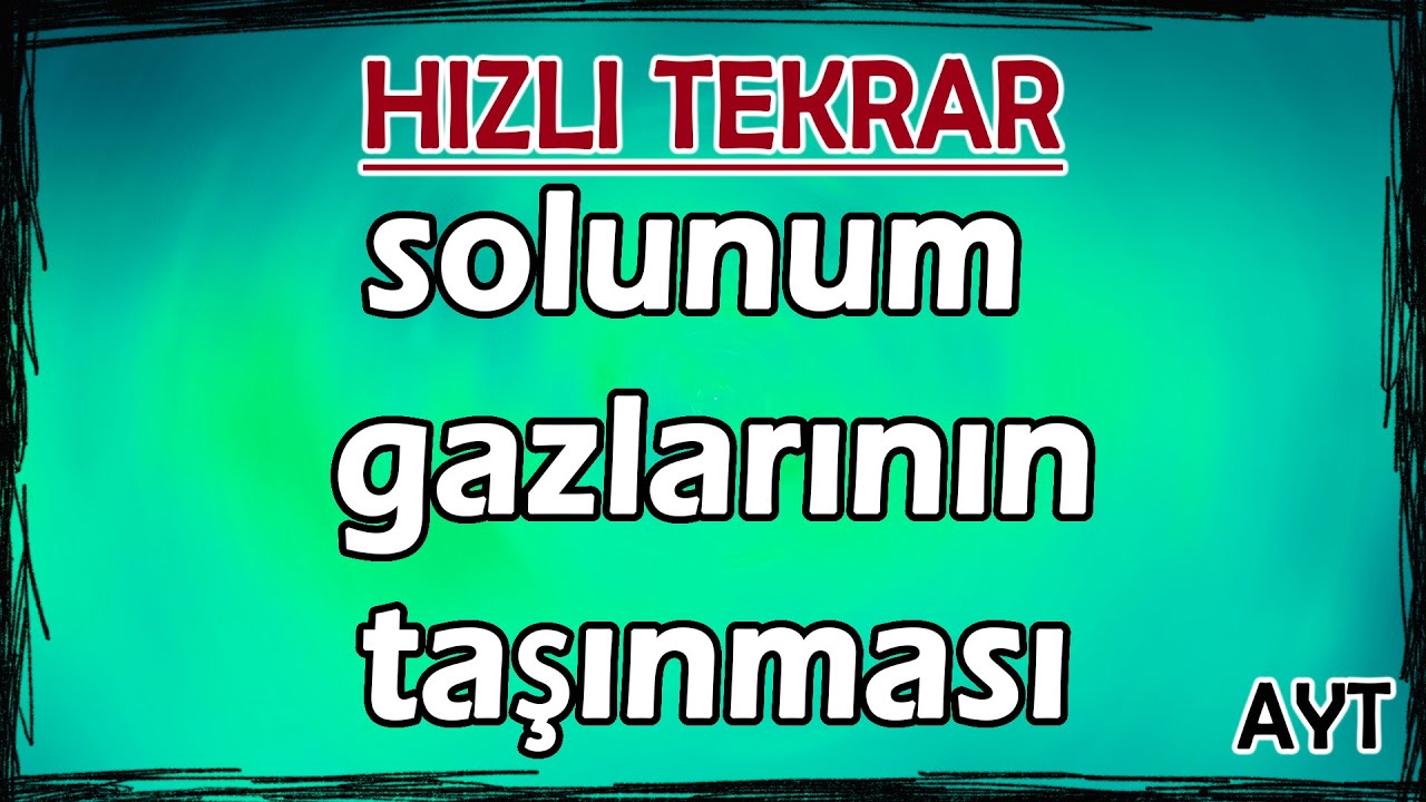 Solunum Gazlarının Taşınması - Hızlı Tekrar