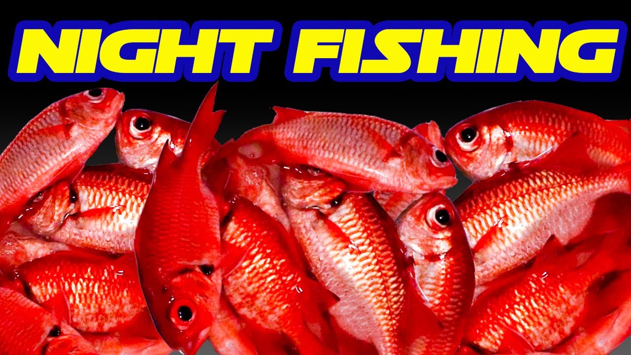 Fishing for Red Fish at Night in Hawaii | Menpachi Fishing | Fishing in Hawaii | Hawaii Fishing