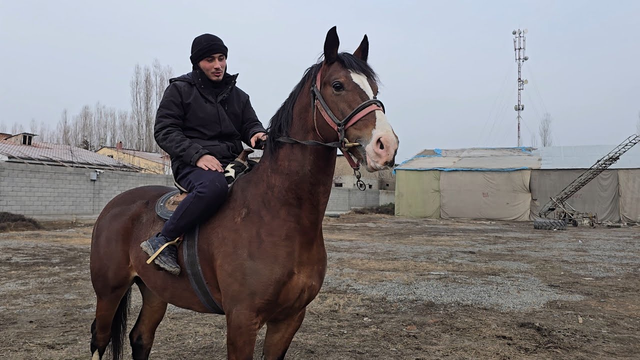 ОТНИ ЗОТИНИ НИМА ДЕБ УЙЛАЙСИЗ. КАМЕНТГА..