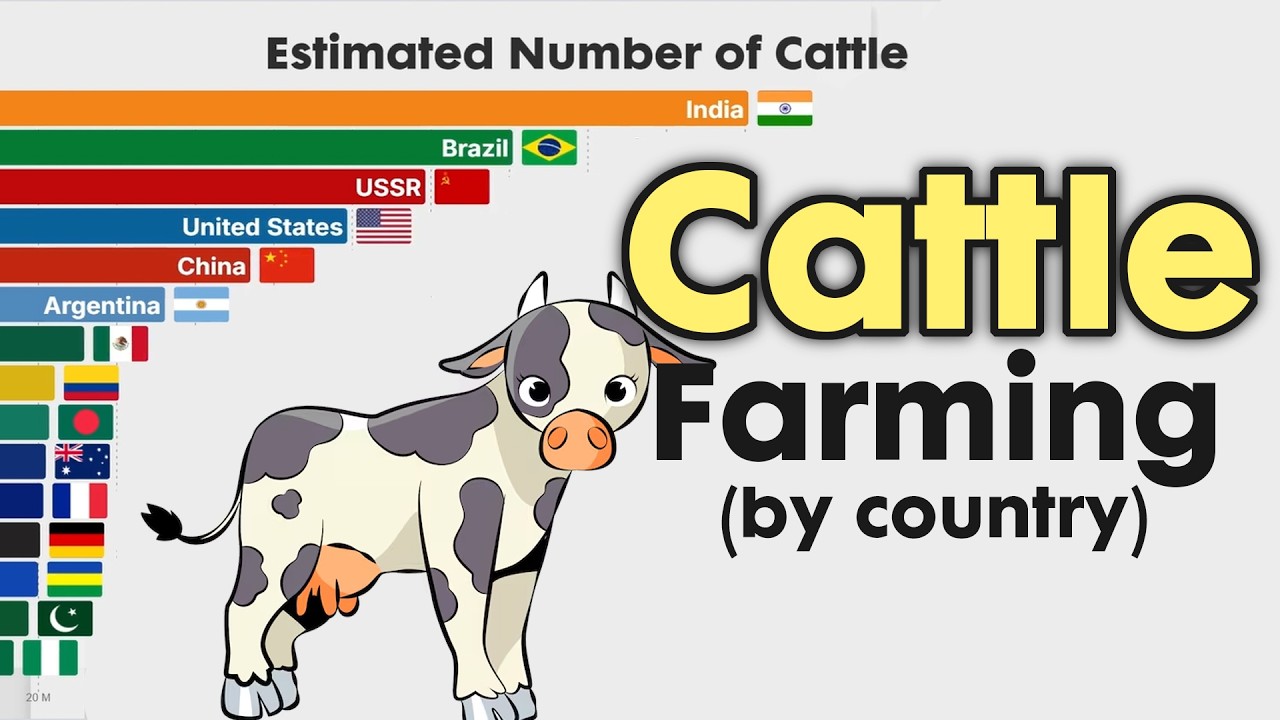 Top Countries by CATTLE FARMING 1960 - 2025