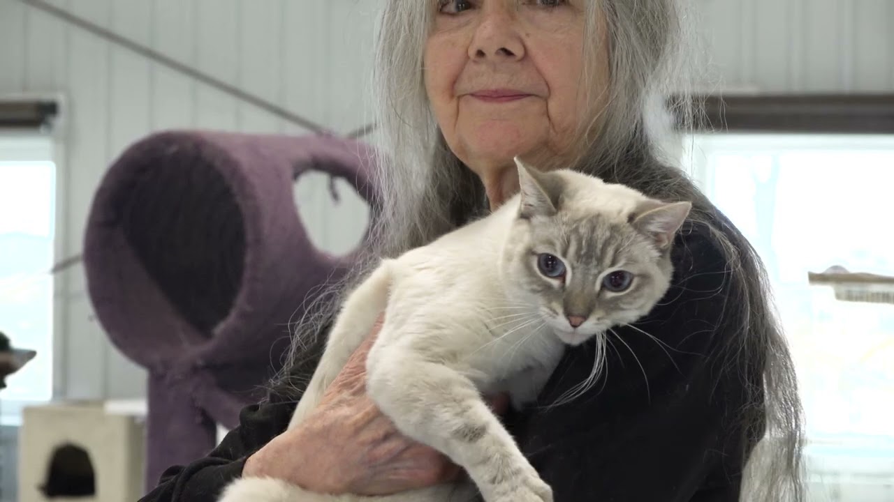 See How 'Save A Kitty' Is Giving Forgotten Cats a Second Chance