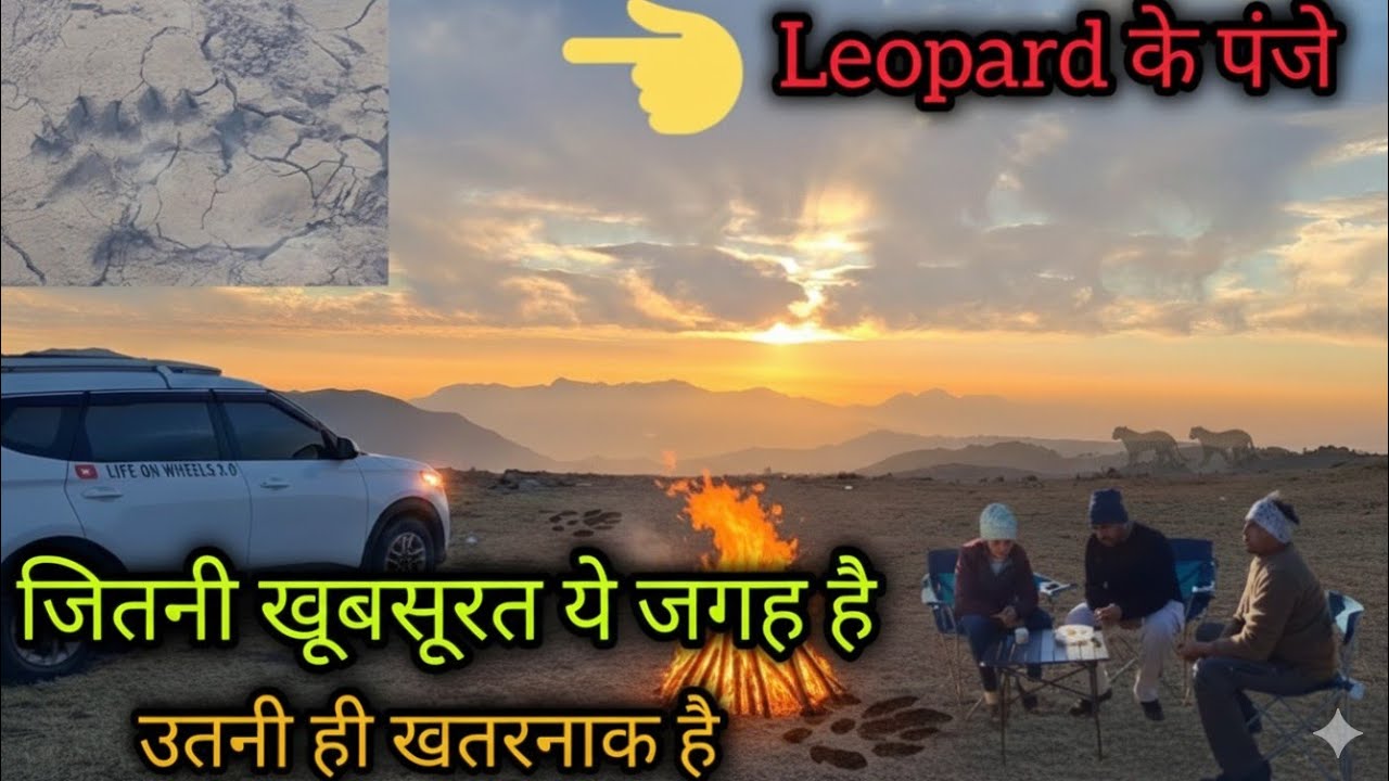 Leopard के पंजे हमारी campsite के पास ! Camping  Adventure Travel ! Vanlife india @campingwitharyan