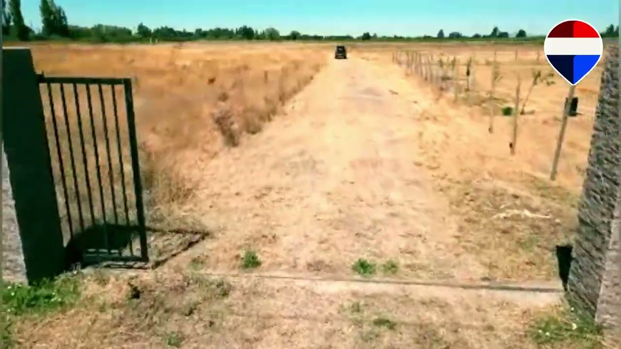 Linda parcela 5000 m2 Fundo El Castaño - Talca