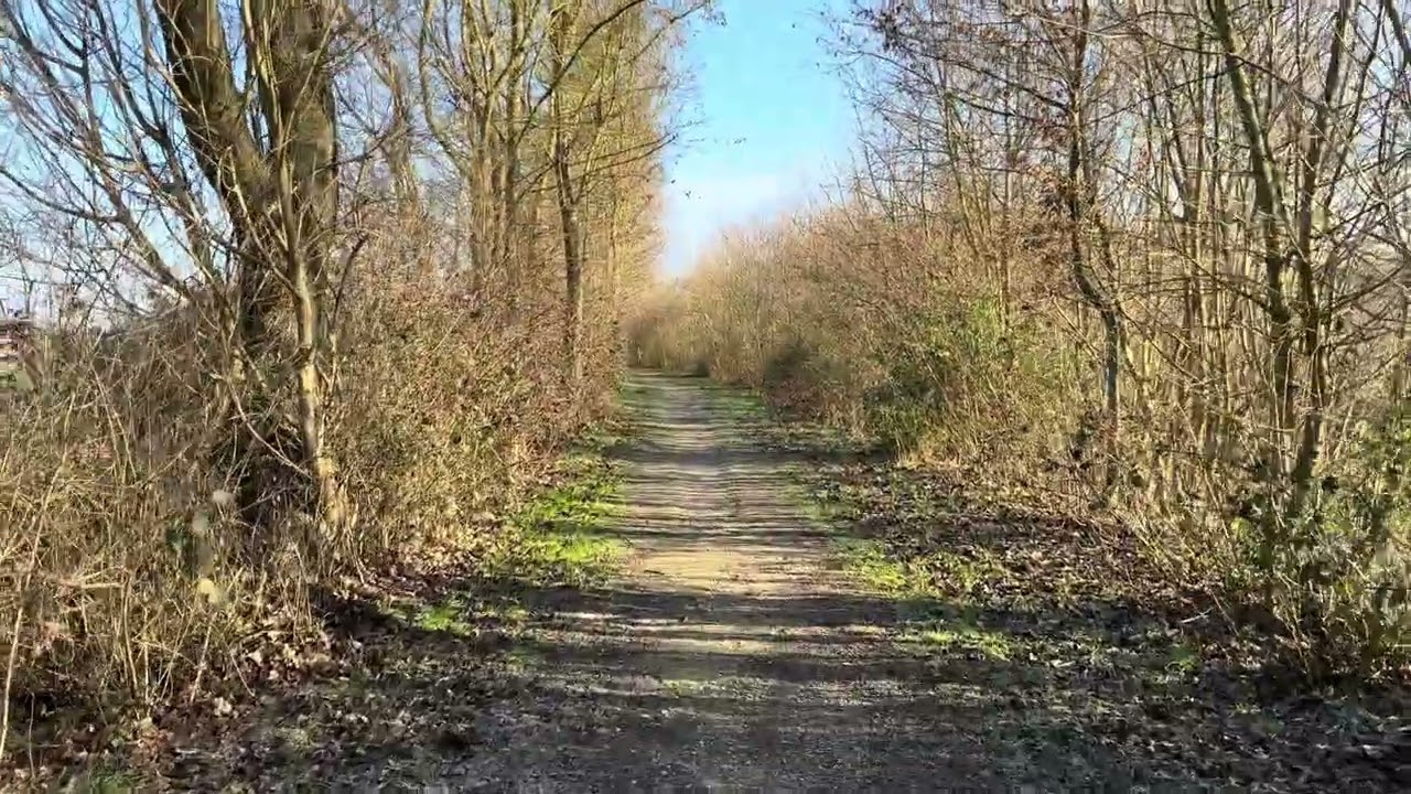 15/02/26 Petit Bois (Mont-sur-Marchienne)