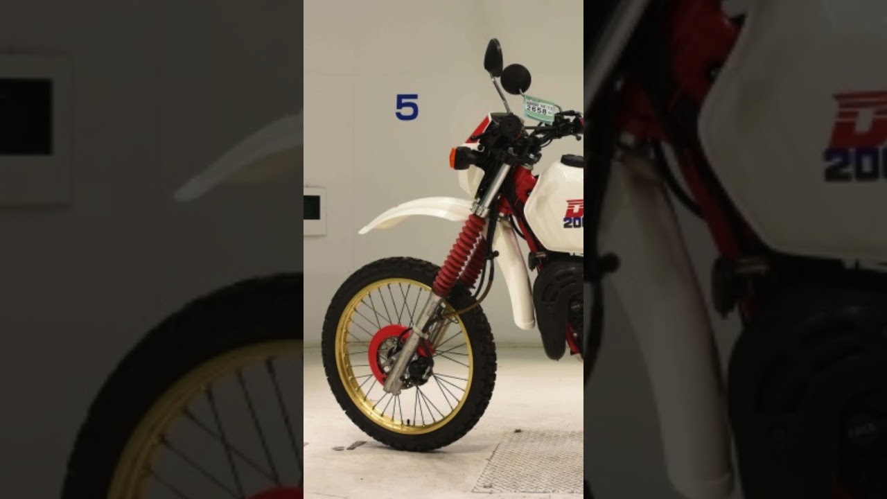 Yamaha DT200R