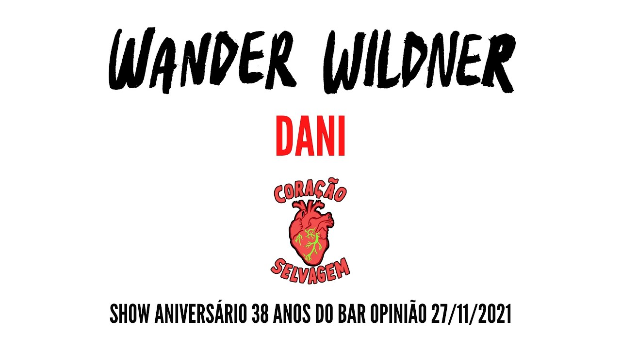 Wander Wildner - Dani