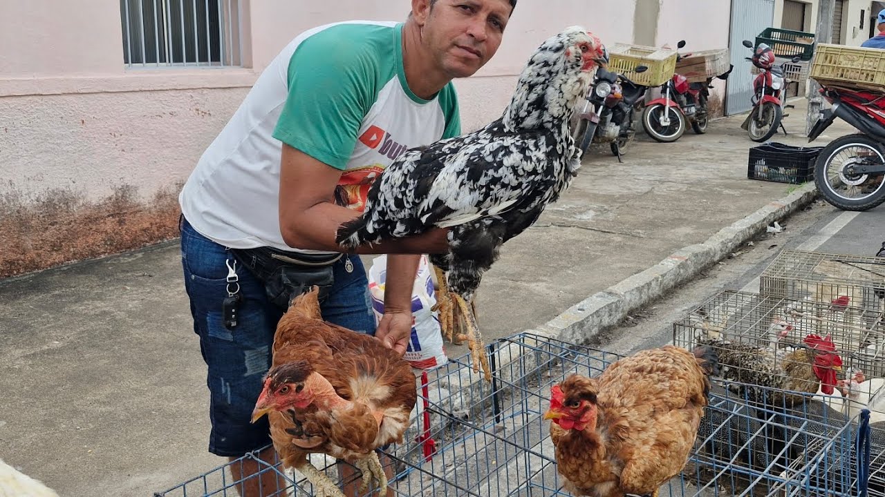 VANIO NA FEIRA DO BARIO BRASÍLIA EM ARAPIRACA #NORDESTE 