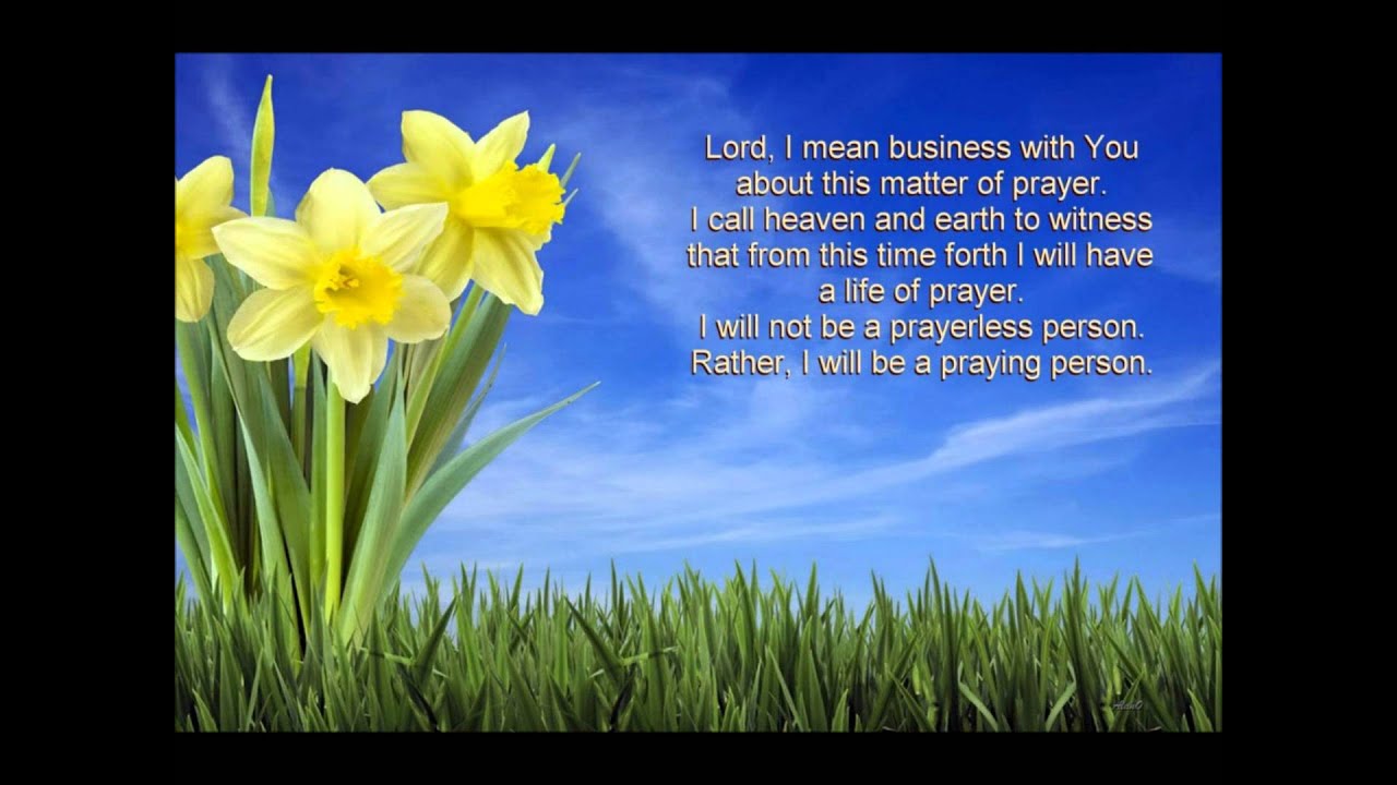 Life study of Genesis_ Having no maturity in life - by Witness Lee