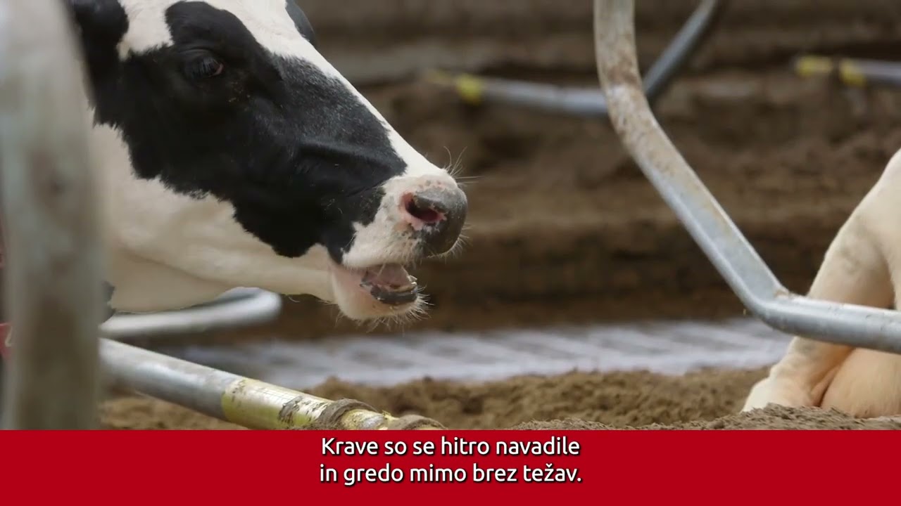 Lely Discovery 90SW  - Testimonial  - Jack Nicolaes (SI subs)