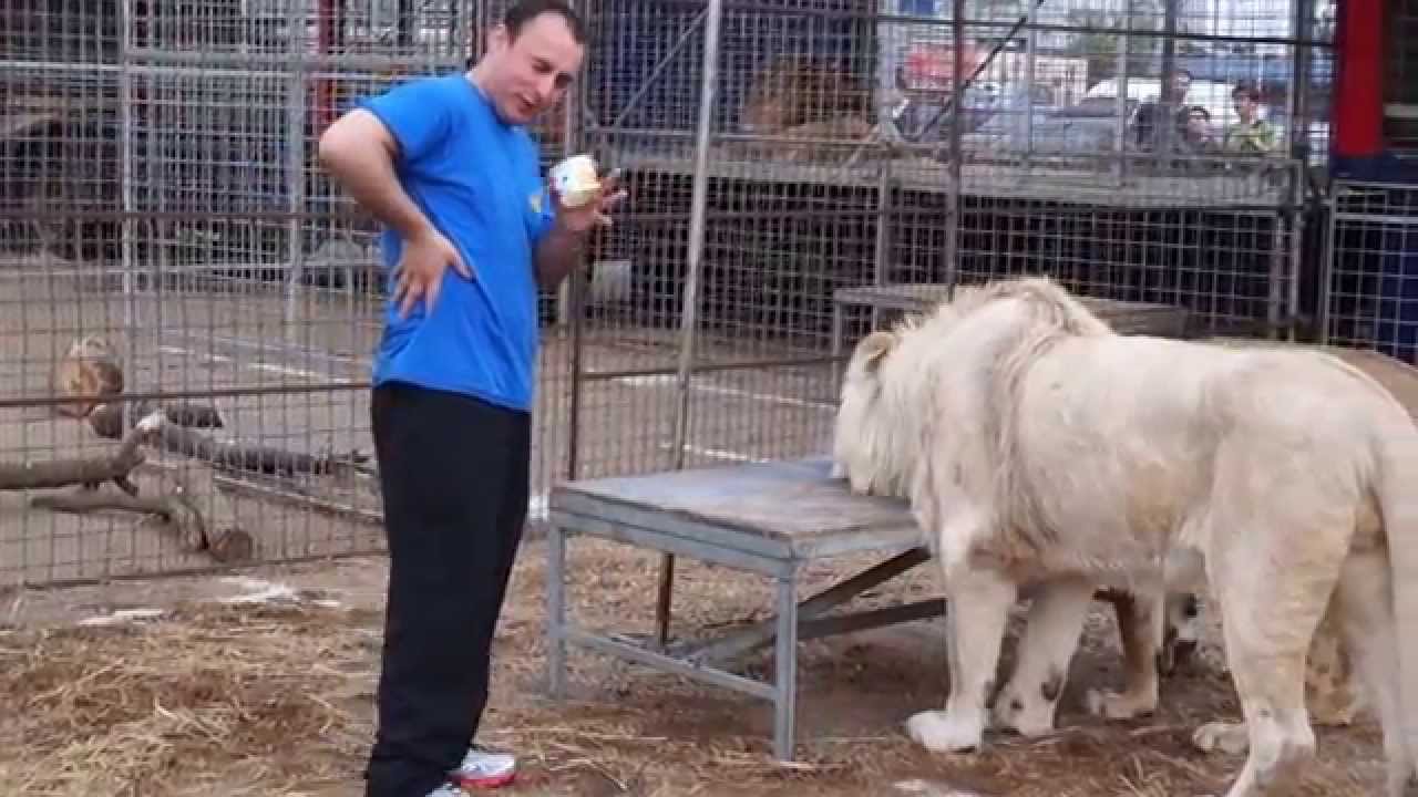 Momento di relax per kaylo e malysh