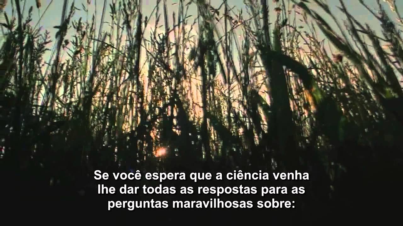 Richard Feynman - Beleza