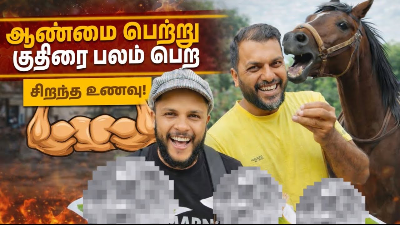 இந்தியாவில் இதை சாப்பிட்டா குதிரை பலம் கிடைக்குமாம்!😱🔥🇮🇳| Mr Najath KL