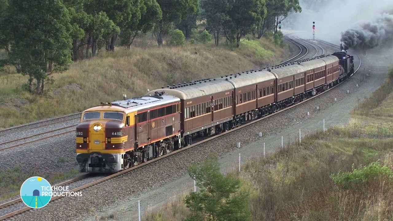 Steam Locomotives 3016, 6029, 3642 & 5917 - Hunter Valley Steamfest - April 2016