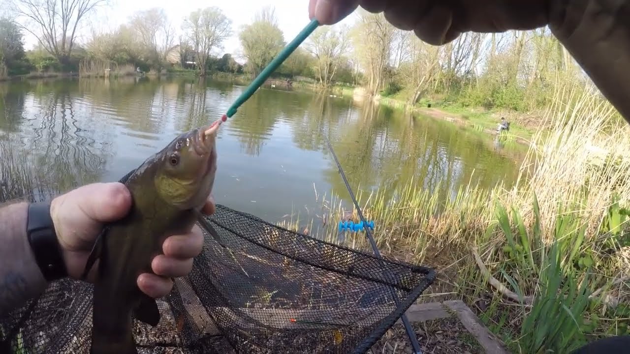 Willows Pond Hull, Tench session april 2022.(subtitles added)