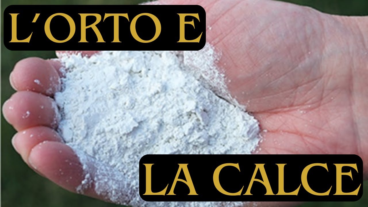 Orto e calce ...