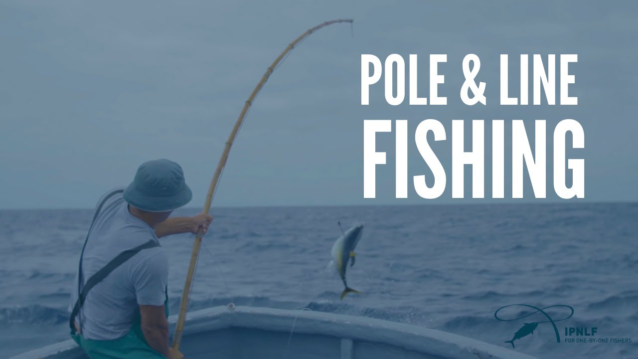 Dive into the World of Pole & Line Fishing!