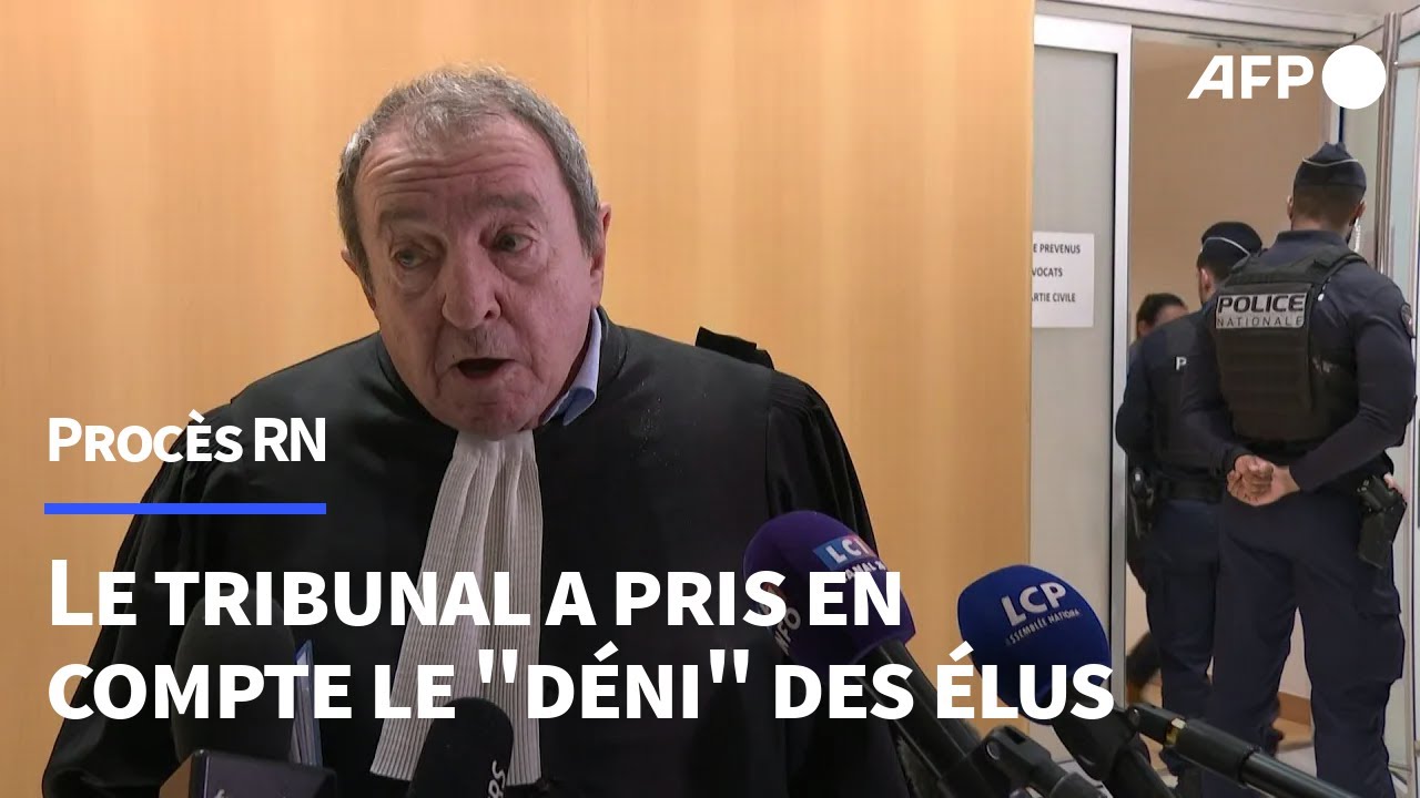 Marine Le Pen condamn&eacute;e: r&eacute;action de l'avocat du Parlement europ&eacute;en | AFP Extrait