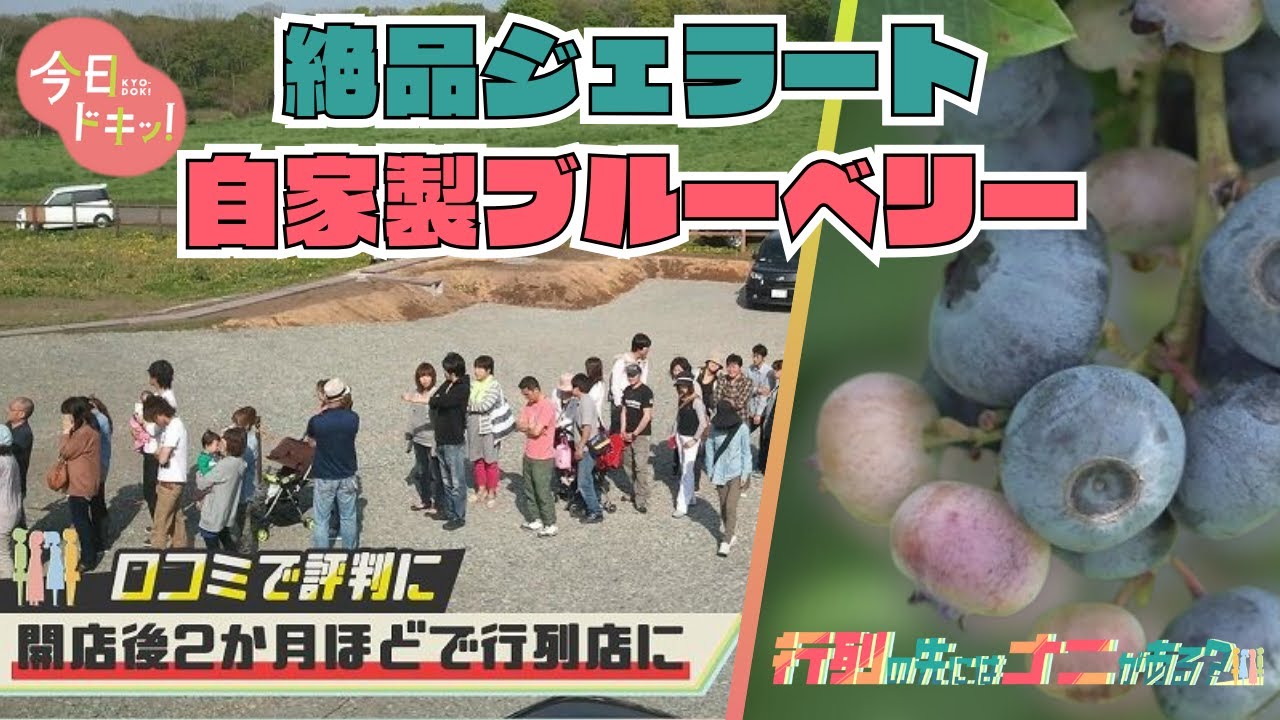 「行列の先にナニがある？」知識ゼロから農園に挑戦！地元農家の店に人が集まる理由とは（8月14日放送）