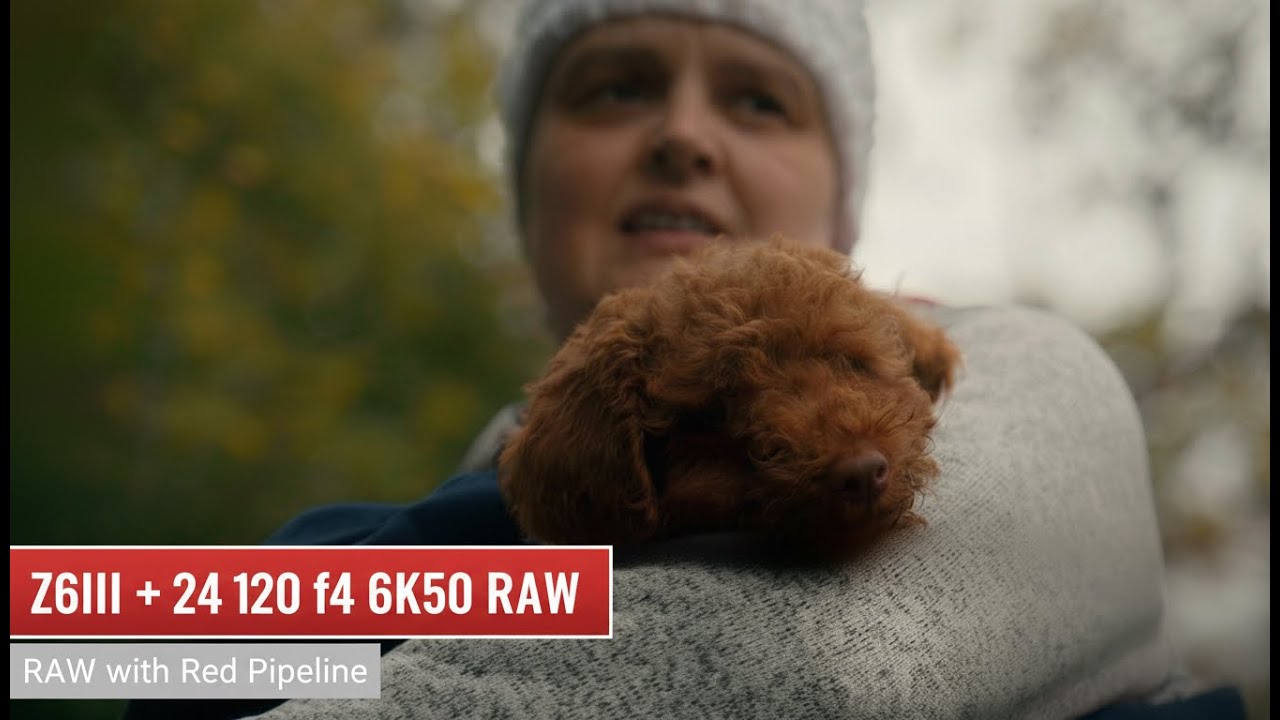 Nikon Z6III + 24 - 120 f4 6K50 RAW with Red Pipeline