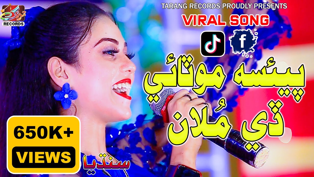 Paisa Motaaye De Moolaa پئسا موٽائي ڏي ملان | Sandhiya Sindhi | Viral Song | Tarang Records 2023