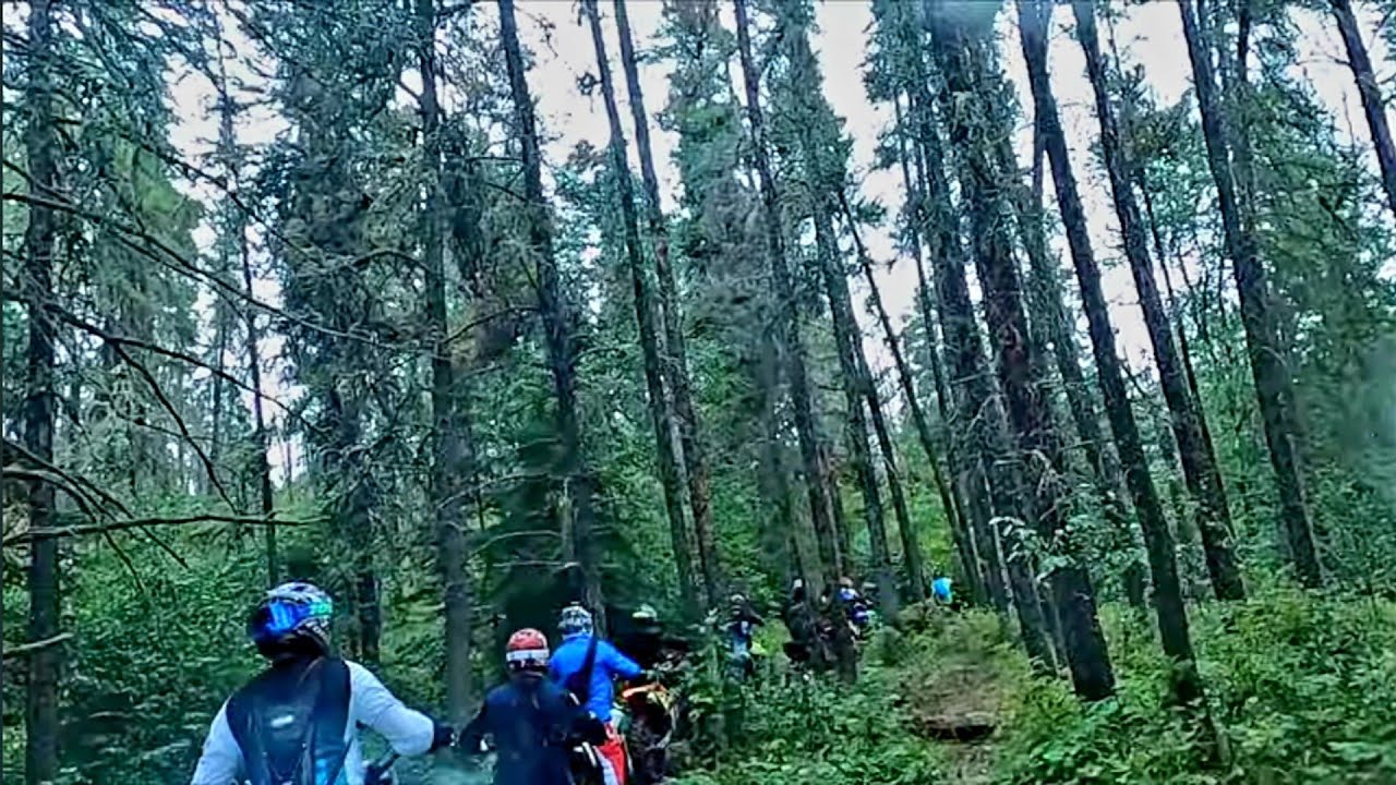 Dirt Bike Trail Adventure #8