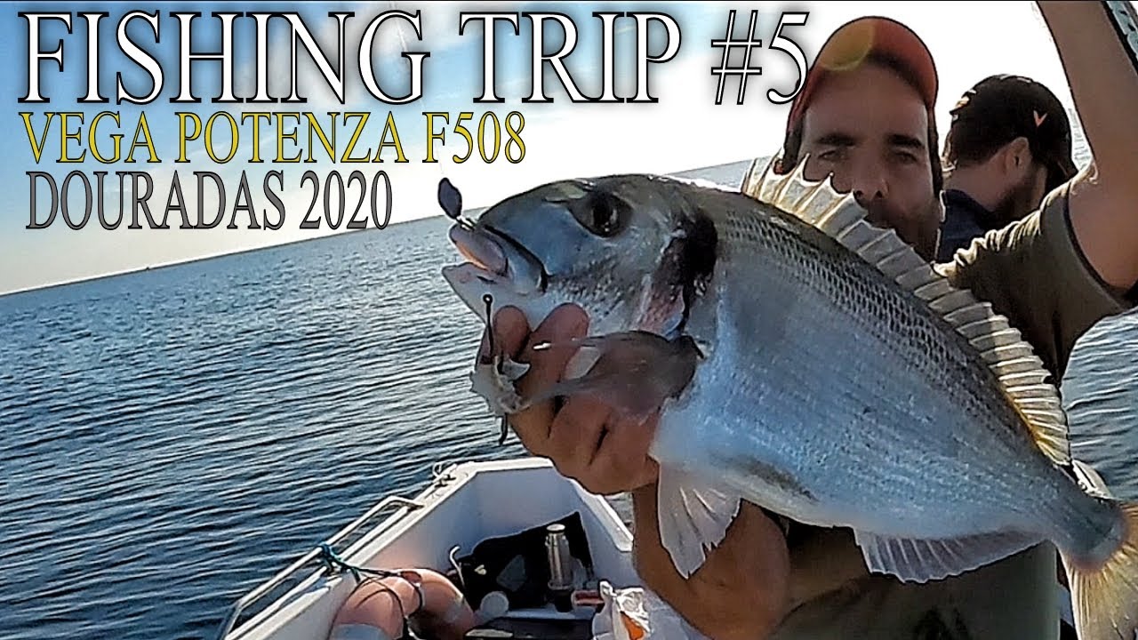 FISHING TRIP #5 - PESCA ÀS DOURADAS COM VEGA POTENZA F508 CHUMBADINHA/ PESCA NA QUEDA 2020