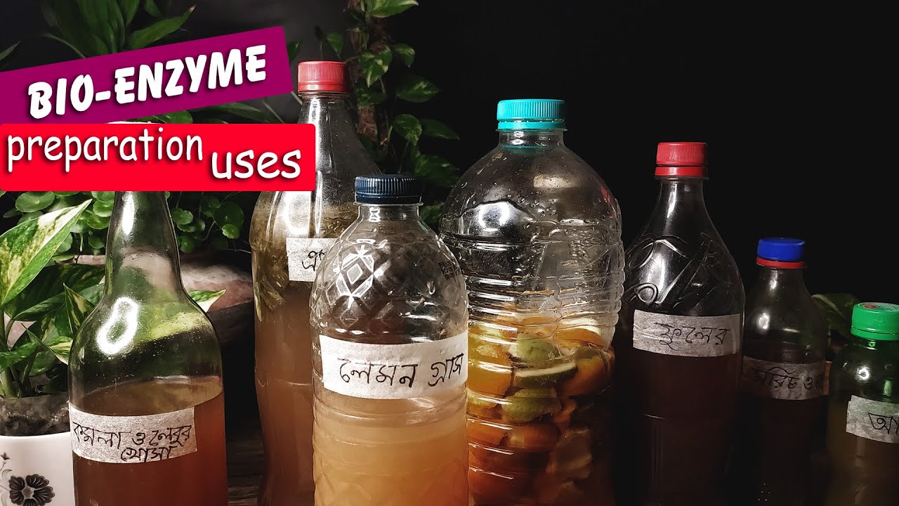 Bio enzyme DIY and Uses || বায়ো এনজাইম তৈরি ও এর ব্যবহার || James Baroi