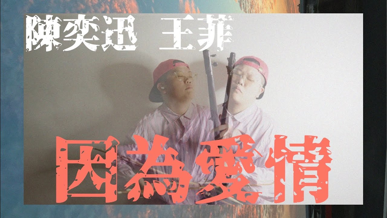 陳奕迅 王菲｜因為愛情 二胡版 Erhu｜甜蜜且幸福💖
