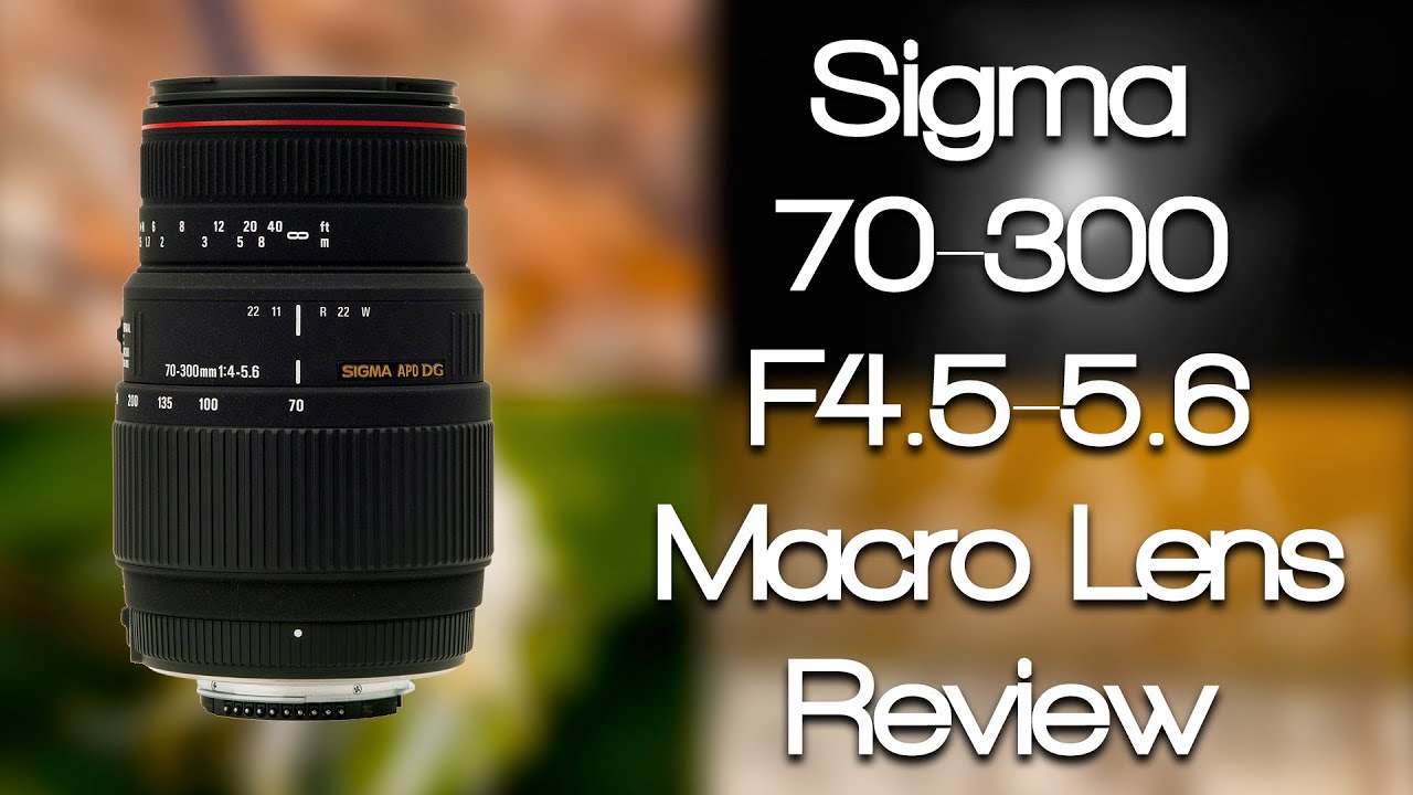 Sigma 70-300mm f4-5.6 Macro Lens Review (Canon Mount)