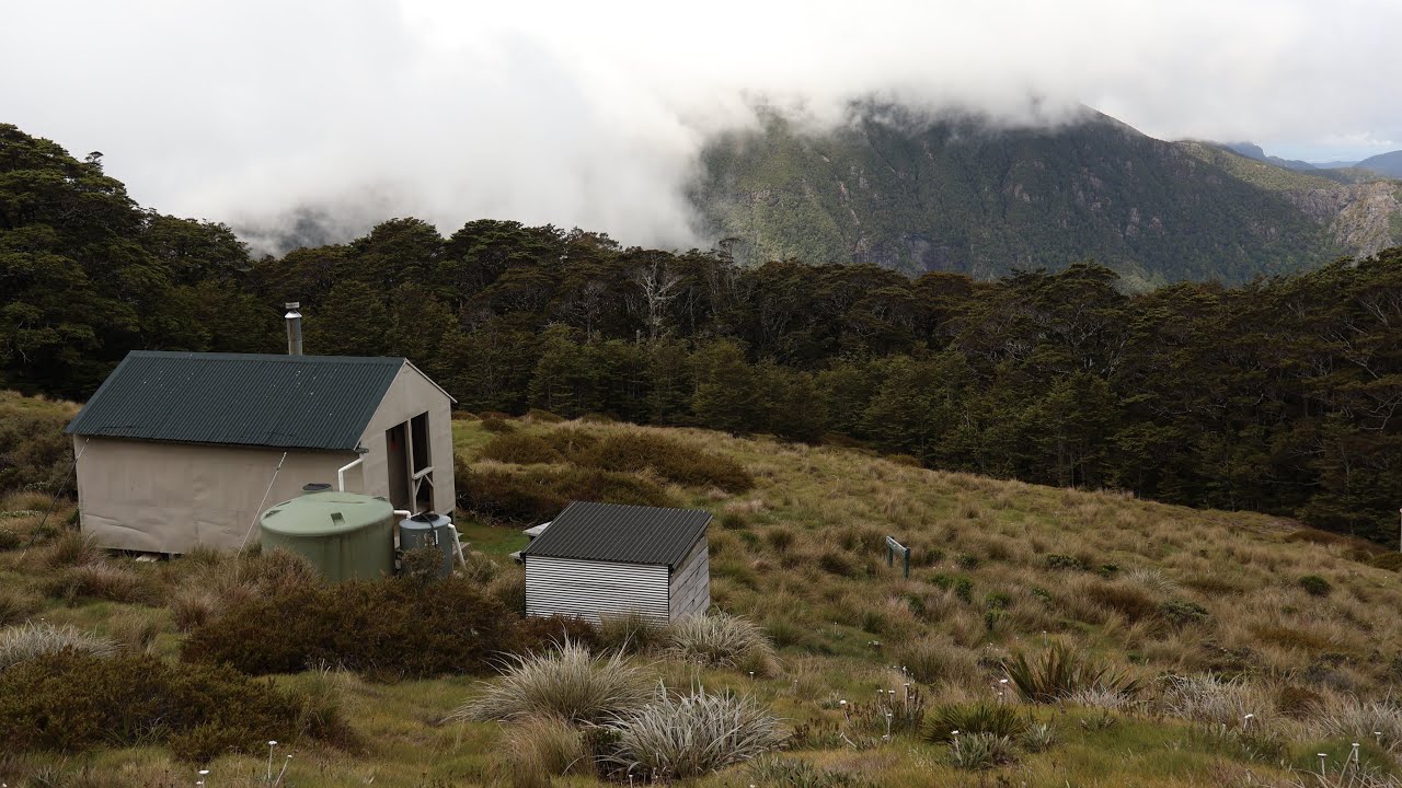 Mt Fell Hut & Mt Richmond Overnight Hike - Mt Richmond Forest Park