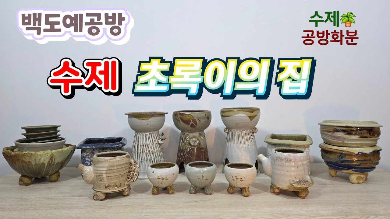 20260202(265회 영상)식물을 특별하게,고급스럽게🤗흔하지 않기에 더 가치가 있는 수제화분🪴#수제화분#공방화분#다육화분#야생화화분#분갈이#연출화분#작품분#주전자화분#사각화분