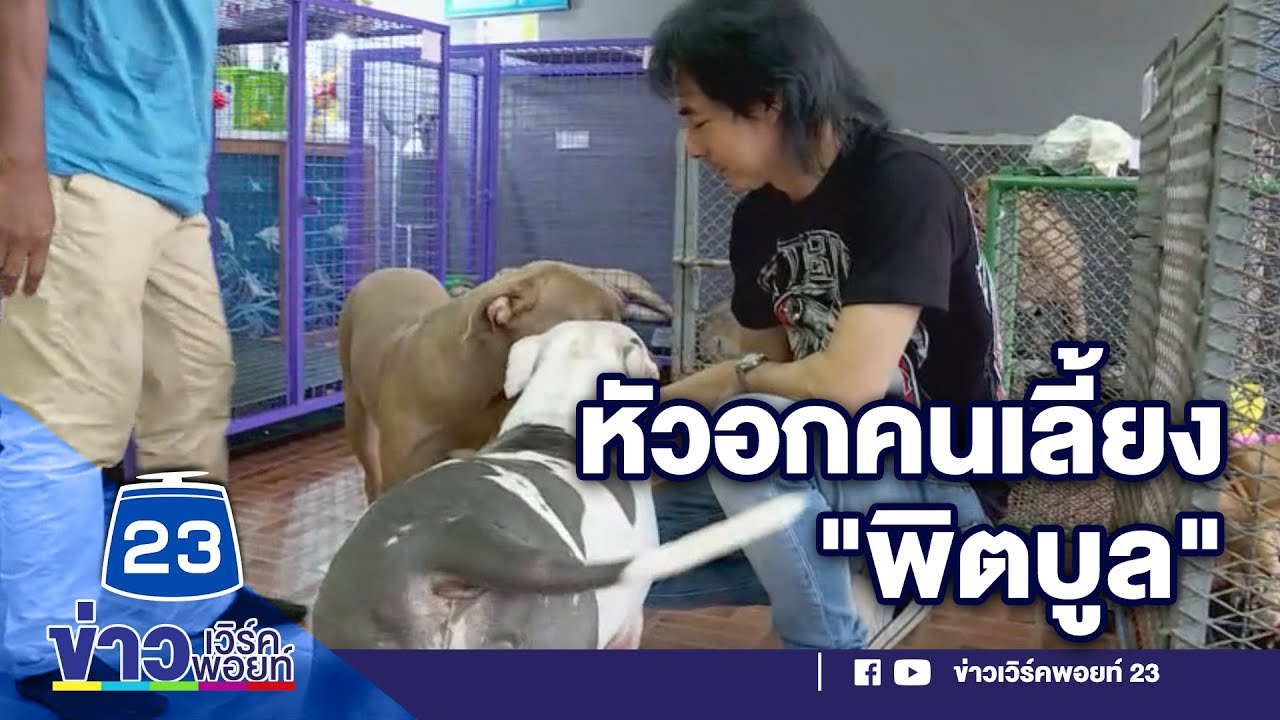 “มาร์ค พิตบูล” เยี่ยม 6 พิตบูล เผยเห็นใจหงส์ l สดจากที่จริง l 14 ก.ย. 63