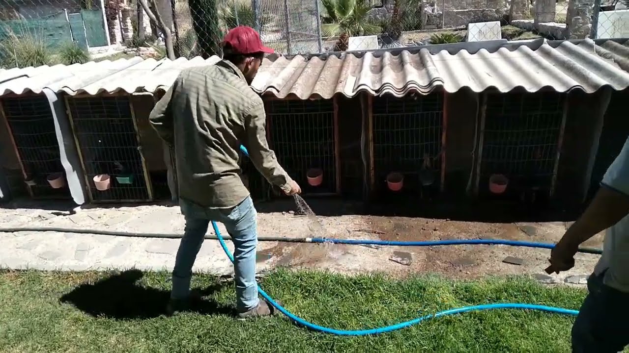 VISITAMOS A CHUY ✌🏽