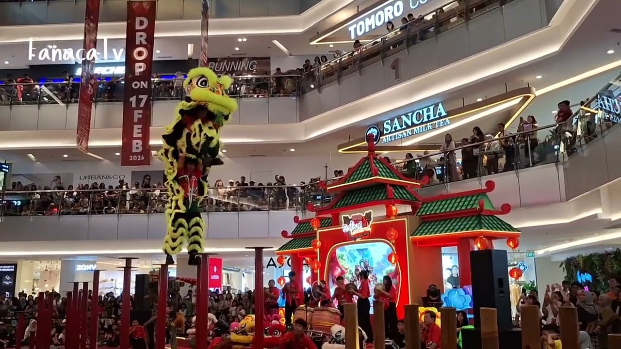 ATRAKSI BARONGSAI PAKUWON MALL SOLO#Barongsai#barongsaidance#imlek
