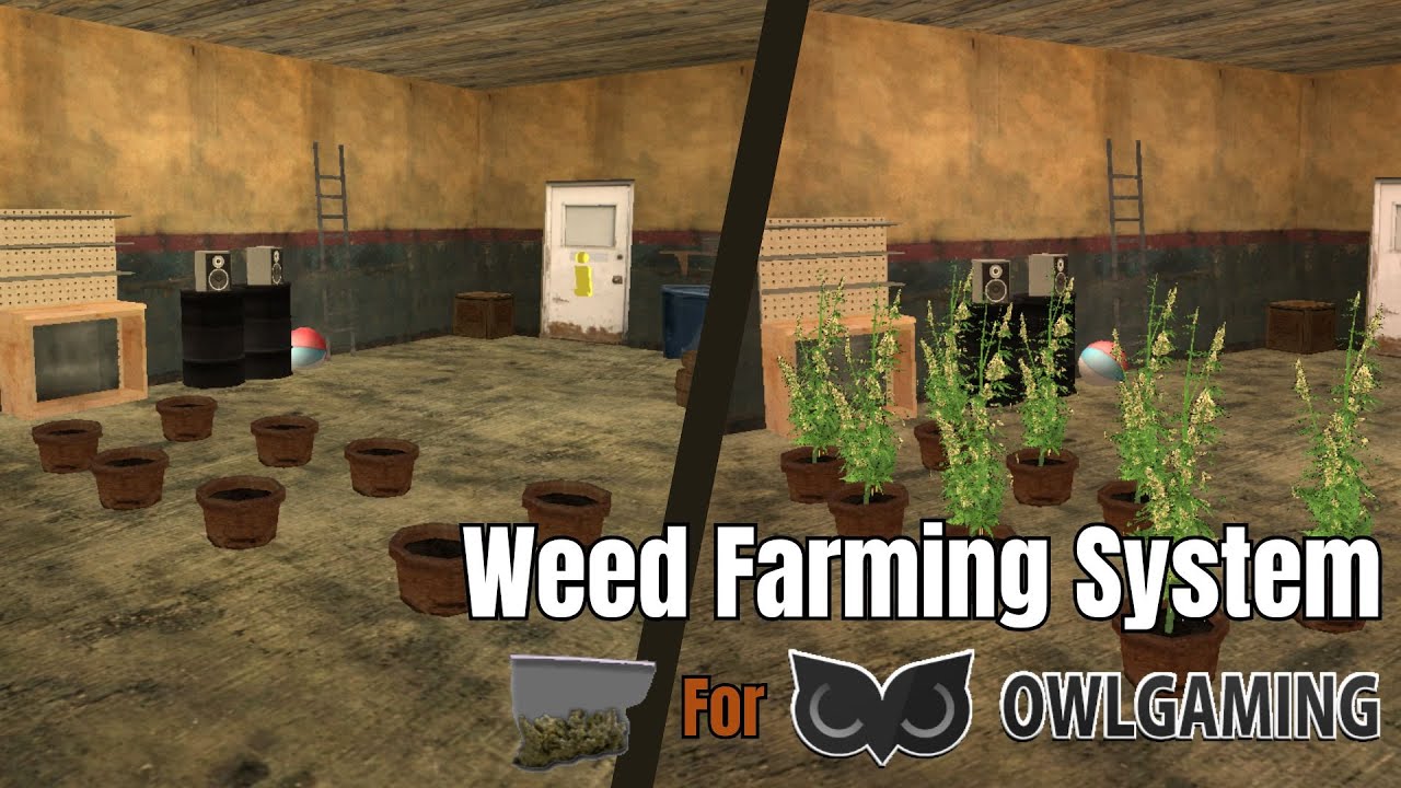 [SA:RP]  MTA:SA Roleplay Marijuana Farming Script