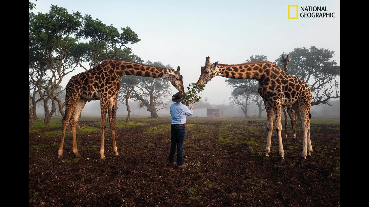 17 Photo Stories That Will Challenge Your View Of The World 2020.