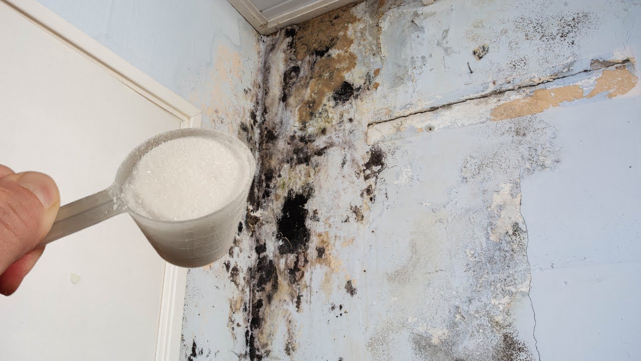 Just 1 scoop and no more mold or moisture on the walls
