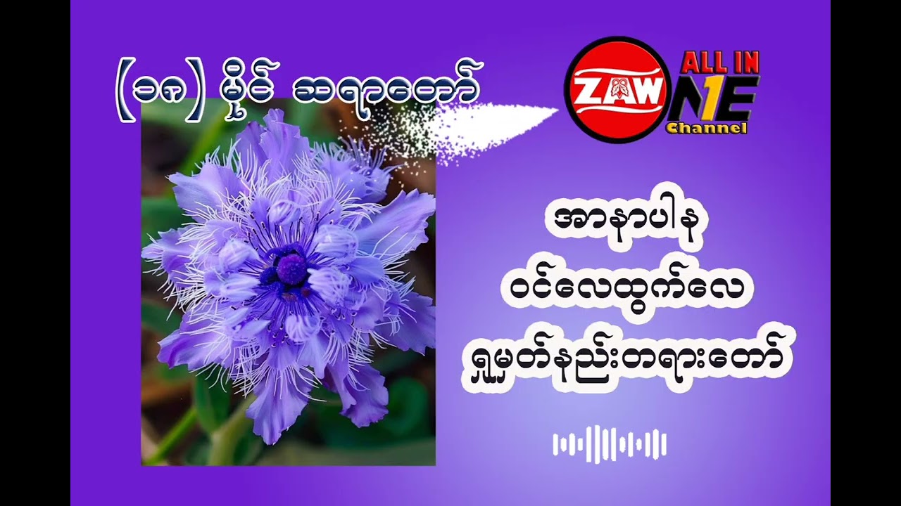အာနာပါန ဝင်လေထွက်လေရှုမှတ်နည်းတရားတော် ၊ ၁၈ မိုင် ဆရာတော်