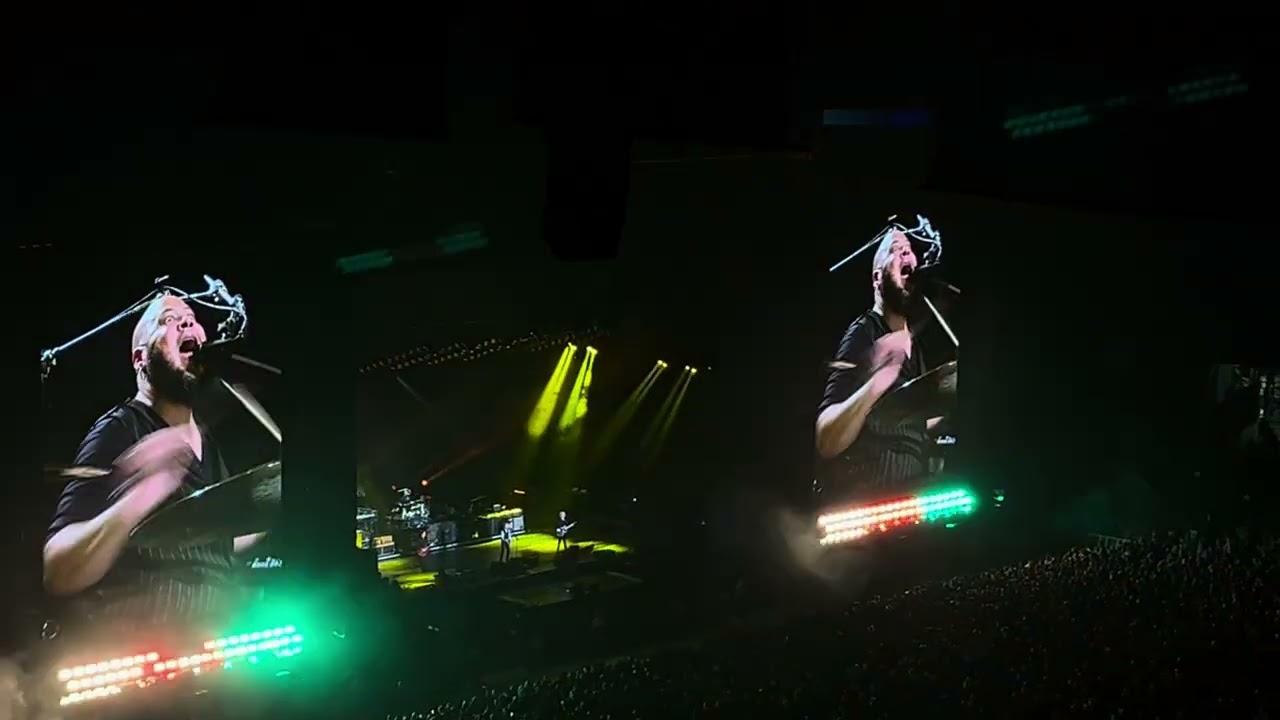 Paul McCartney (24)