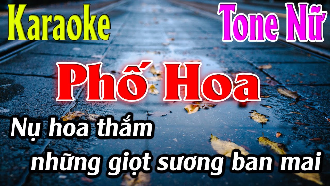 Phố Hoa Karaoke Tone Nữ Karaoke Lâm Organ - Beat Mới