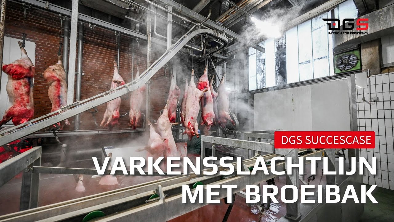 Succescase Steinemann NL Ondertiteling