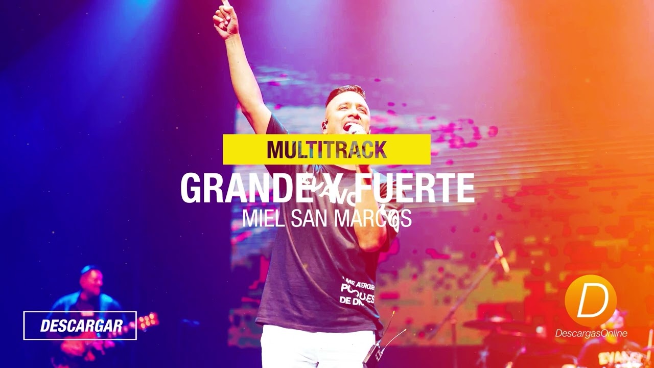 Grande y fuerte Miel San Marcos Secuencia Multitrack