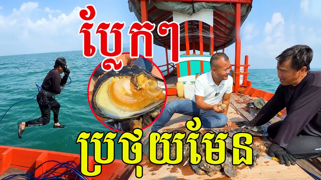 ប្លែកមែន! ដើររកខ្យងក្នុងបាតសមុទ្រ បានច្រើនមុខ ស្រស់ៗល្អណាស់