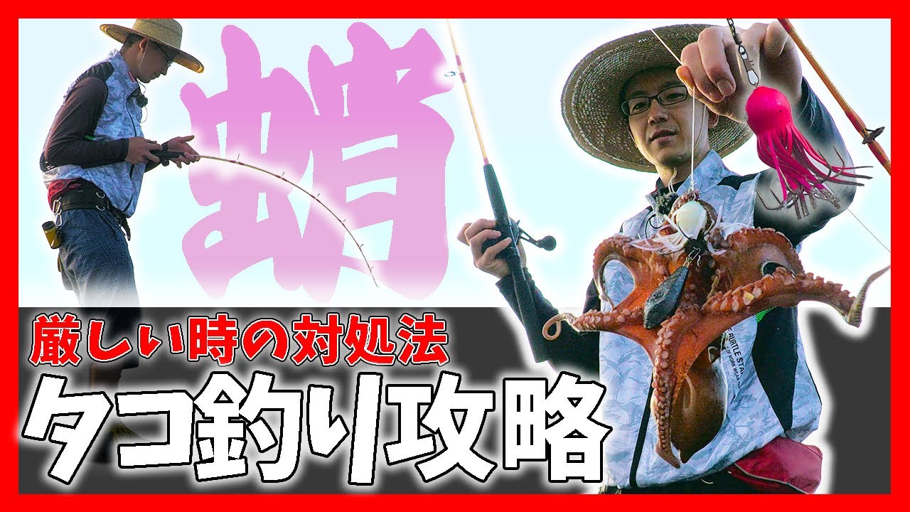 【タコ釣り】釣れない時の攻略法 苦潮って知ってる？厳しい時こそ際を攻めろ！