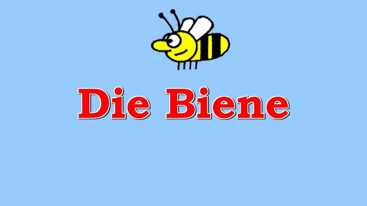 Teubervideos: Die Biene Animation / Zeichentrickfilm