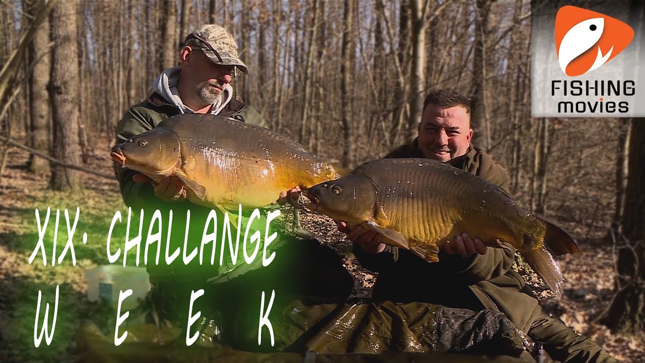 XIX. Challange week, Háromfa